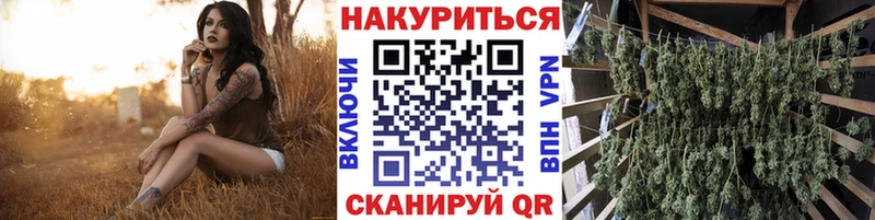 Альфа ПВП Новокузнецк