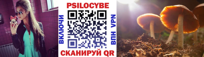 мега ССЫЛКА  Новокузнецк  Галлюциногенные грибы мицелий 
